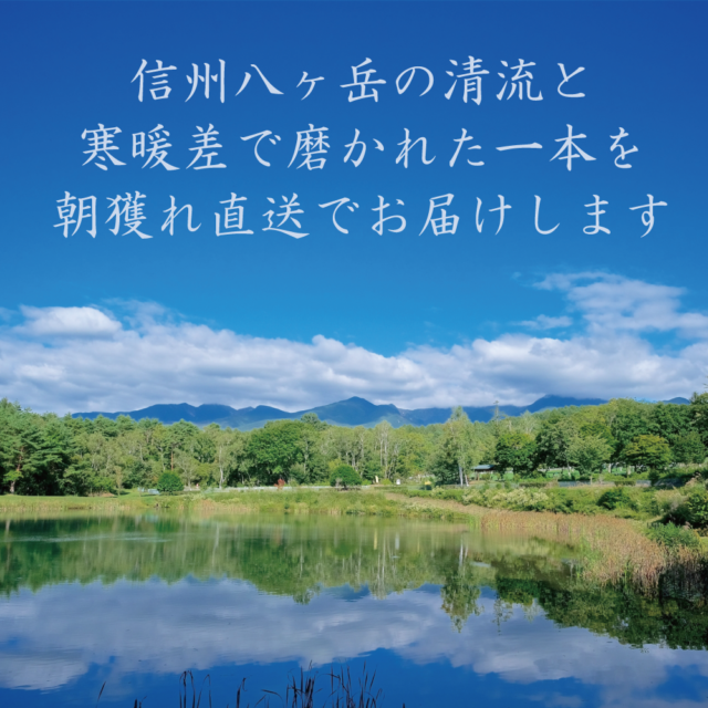 八ヶ岳手塚農園 – 長野県は八ヶ岳の麓、清らかな水と寒暖差で磨かれた